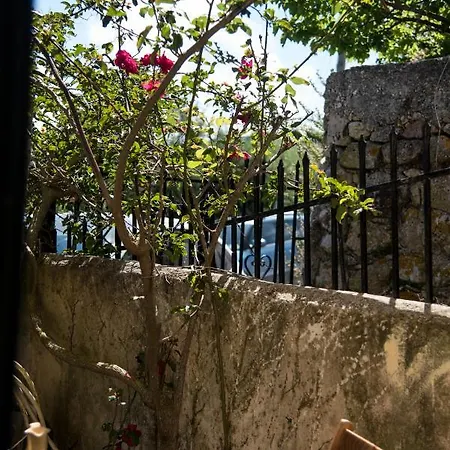 乡村民宿 Rena's Panorama View House