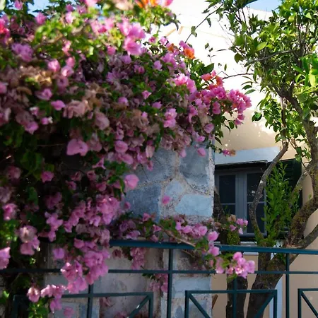 Rena's Panorama View House Lantställe Vóvikes