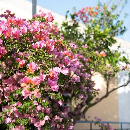Rena's Panorama View House Lantställe *
