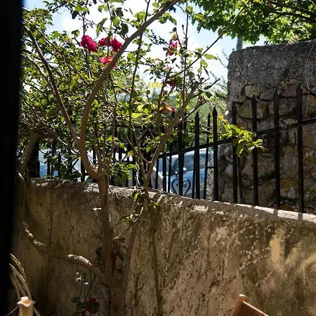 Country house Rena's Panorama View House
